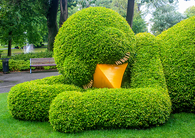 Jardins en ville
